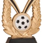 New Soccer Trophy